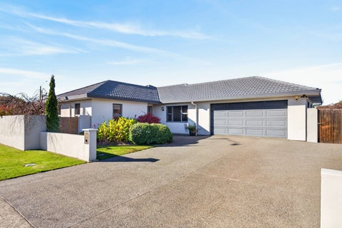 905 Rimu Street, Mahora, Hastings
