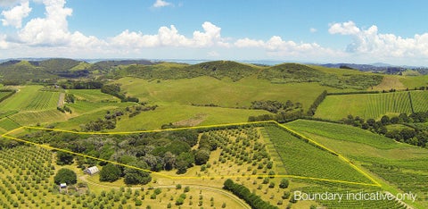 5 Brown Road, Onetangi, Waiheke Island