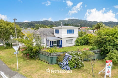 163 Moohan Street, Wainuiomata, Lower Hutt