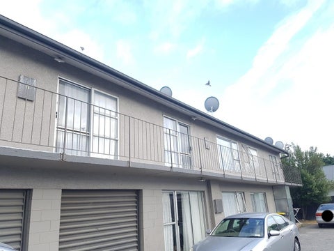 3 Bard Street, Somerfield, Christchurch