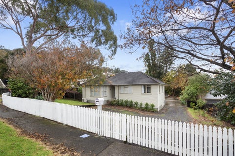 812 Mount Pleasant Road, Thames, Thames