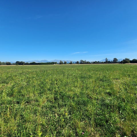 0 Tripp Settlement Road, Orari Bridge, Geraldine