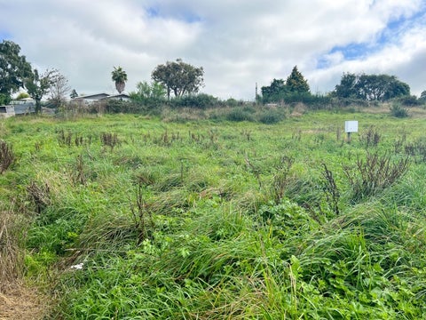 20 Mathew Street, Dannevirke