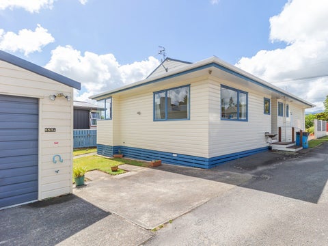 253A Cambridge Street, Levin, Levin