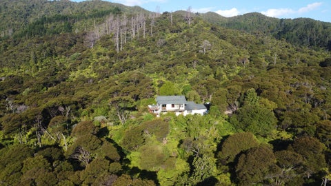 800 Buffalo Road, Coromandel, Coromandel