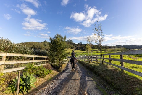 719 Waikare Road, Karetu, Kawakawa