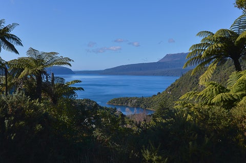 17 Te Mu Road, Lake Tarawera, Rotorua
