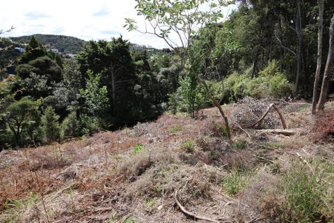 70D School Road, Paihia, Paihia