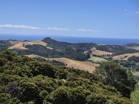 79 Awaawaroa Road, Waiheke Island, Waiheke Island