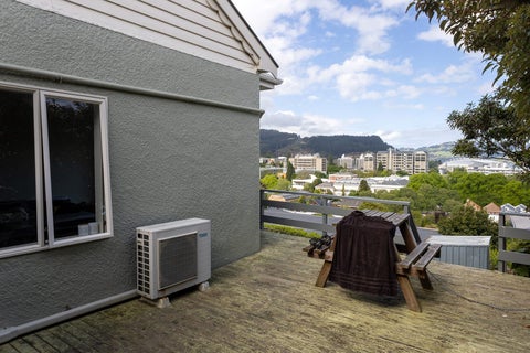 19 Queen Street, North Dunedin, Dunedin