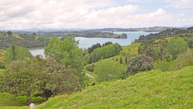 531 Mahurangi West Road, Mahurangi West, Warkworth
