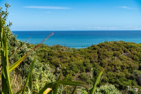 13 Bayly Street, Dargaville