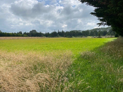 0 Makotuku Valley Rd (State Highway 4), Raetihi, Raetihi
