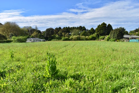 0 Mill Rd, Otaki, Otaki
