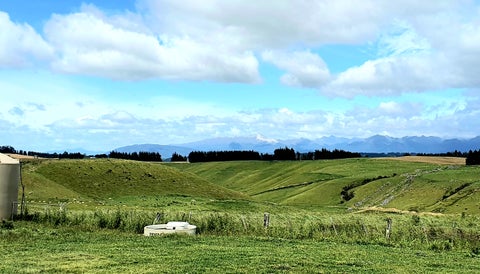 602 Kakapo Road, TE ANAU, Te Anau