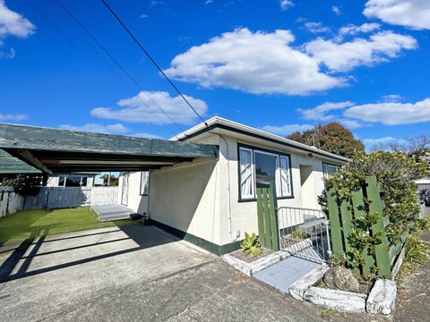 16 Wood Street, Takaro, Palmerston North