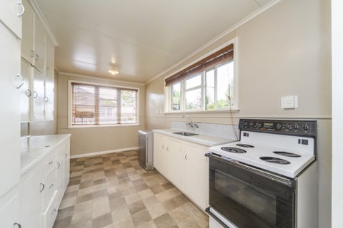 115 Limbrick Street, Terrace End, Palmerston North