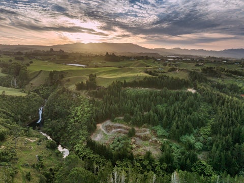 371 Esdaile Road, Whakamarama, Tauranga