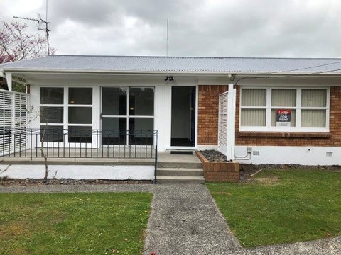 10B Galloway Street, Hamilton East, Hamilton