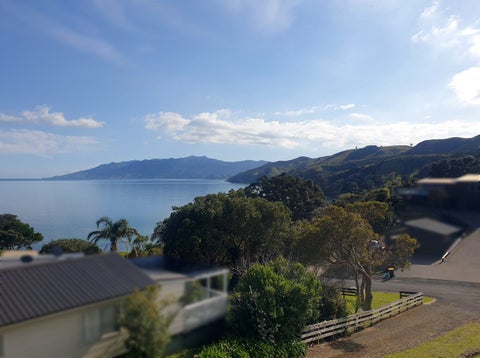 12 Torehina Heights, Amodeo Bay, Coromandel