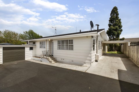 3B Newcastle Road, Dinsdale, Hamilton
