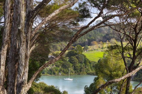 78 Blue Heron Rise, Stanmore Bay, Whangaparaoa