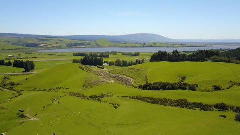 0 Waihola Hwy, Milton, Milton