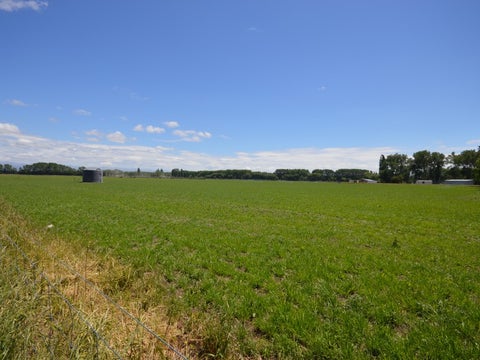 120 Te Ngawai Road, Pleasant Point, Pleasant Point