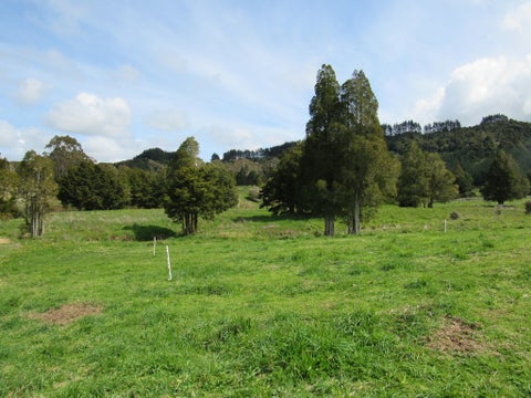 103 Omapere Road, Kaikohe, Kaikohe