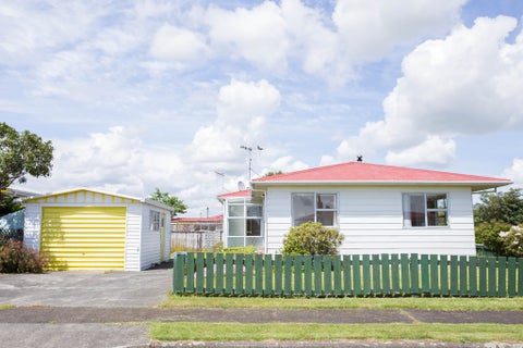 30 Heather Street, Levin, Levin