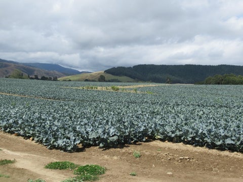 1272 State Highway 1, Manakau, Manakau