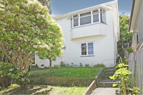 17 Balmoral Terrace, Newtown, Wellington