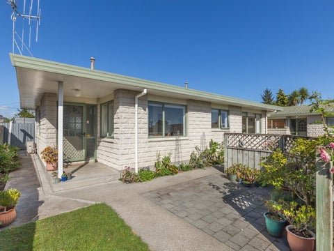 81A Winchester Street, Levin, Levin