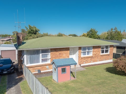 17 Goodall Street, Dinsdale, Hamilton
