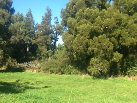 180 Utopia Road, Westport, Westport
