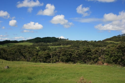 1295 Old North Road, Helensville, Helensville