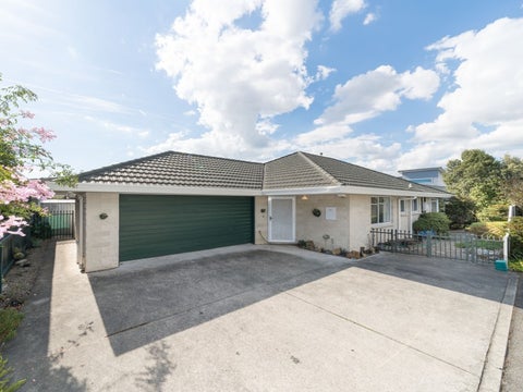 20E Monrad Street, Highbury, Palmerston North