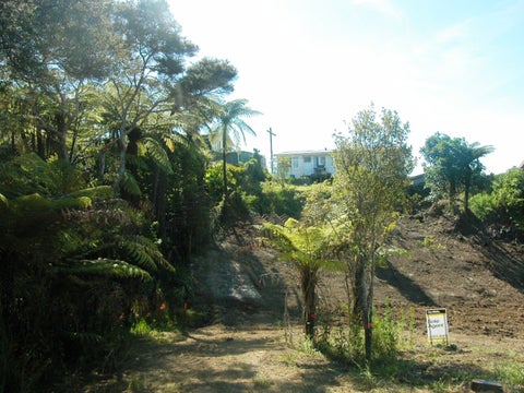45 Bayview Road, RAGLAN, Raglan