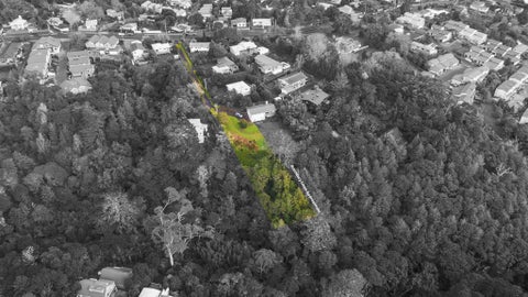 43D Verbena Road, Birkdale, Auckland