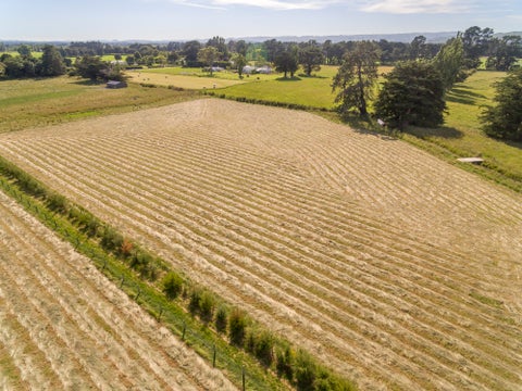 228A Wood Street, Woodside, Greytown