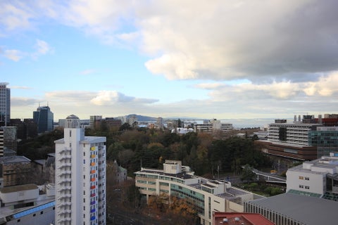 1703/8 Airedale Street, Auckland Central, Auckland