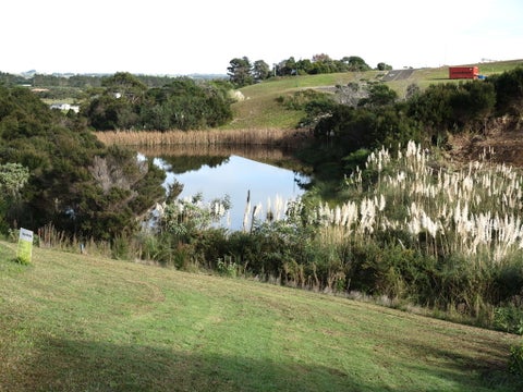 54 Banyan Road, Karikari Peninsula, Karikari Peninsula