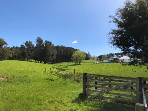 1146 Peak Road, Helensville, Helensville