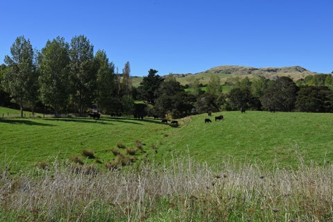 752A Ponatahi Road, Martinborough, Carterton