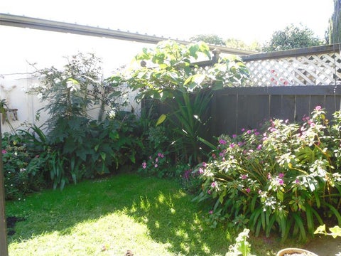 96B Sixteenth Avenue, Tauranga South, Tauranga