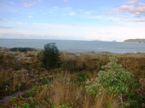 118 Ocean Beach Road, Tairua, Tairua