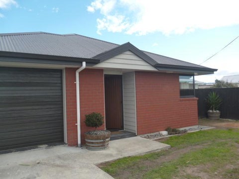 22 Elzy Street, Blenheim