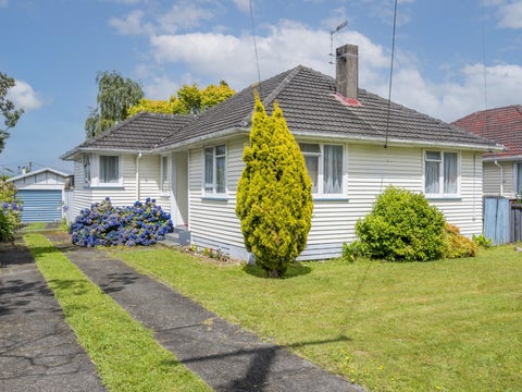 14 Dorset Street, Levin, Levin