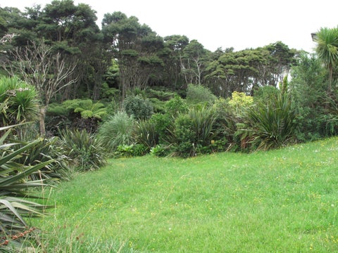 100G Greenslade Road, Raglan, Raglan