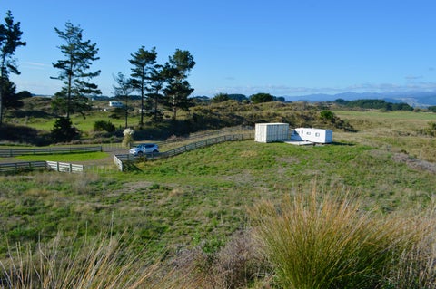 38 Uxbridge Terrace, Waikawa Beach, Manakau